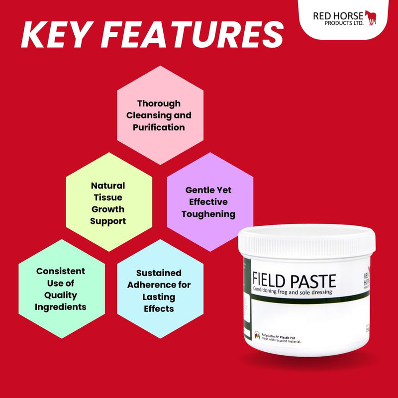 FunDADYUS Red Horse Products LTD. Field Paste Antifungal Sole Dressing 500ml - PawsPlanet Australia