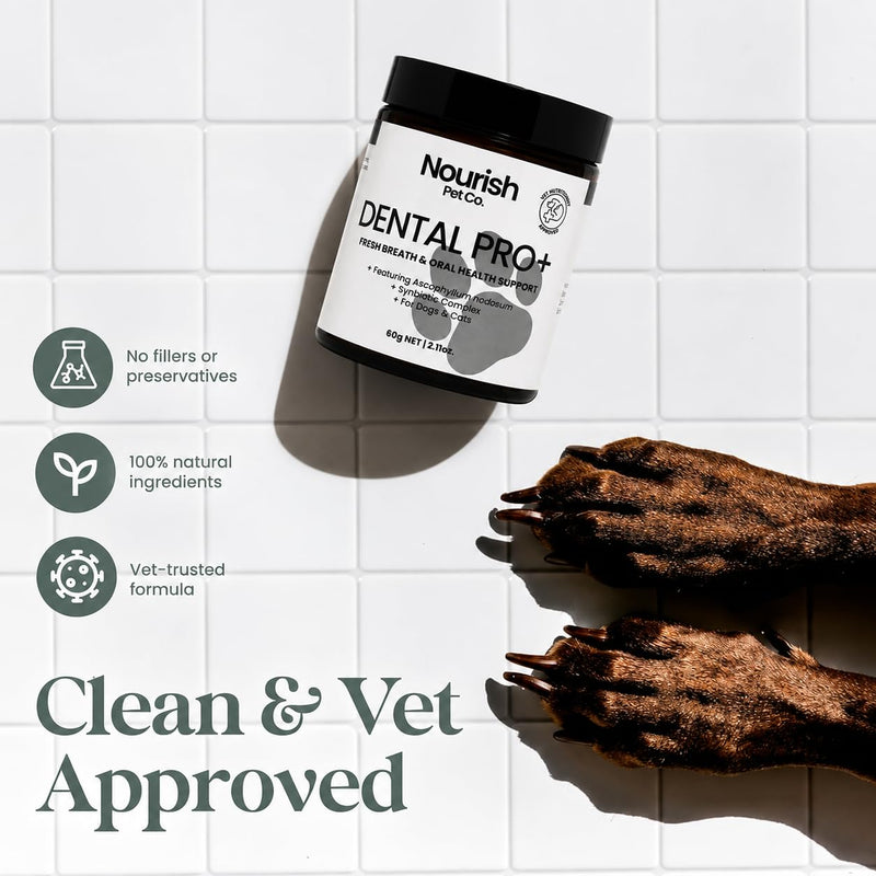 Nourish Pet Co. Dental Pro+ Pet Dental Powder, Cat & Dog Teeth Cleaning Powder, Breath Freshener, Fights Plaque and Tartar, Natural Ingredient Food Topper, 60 Servings