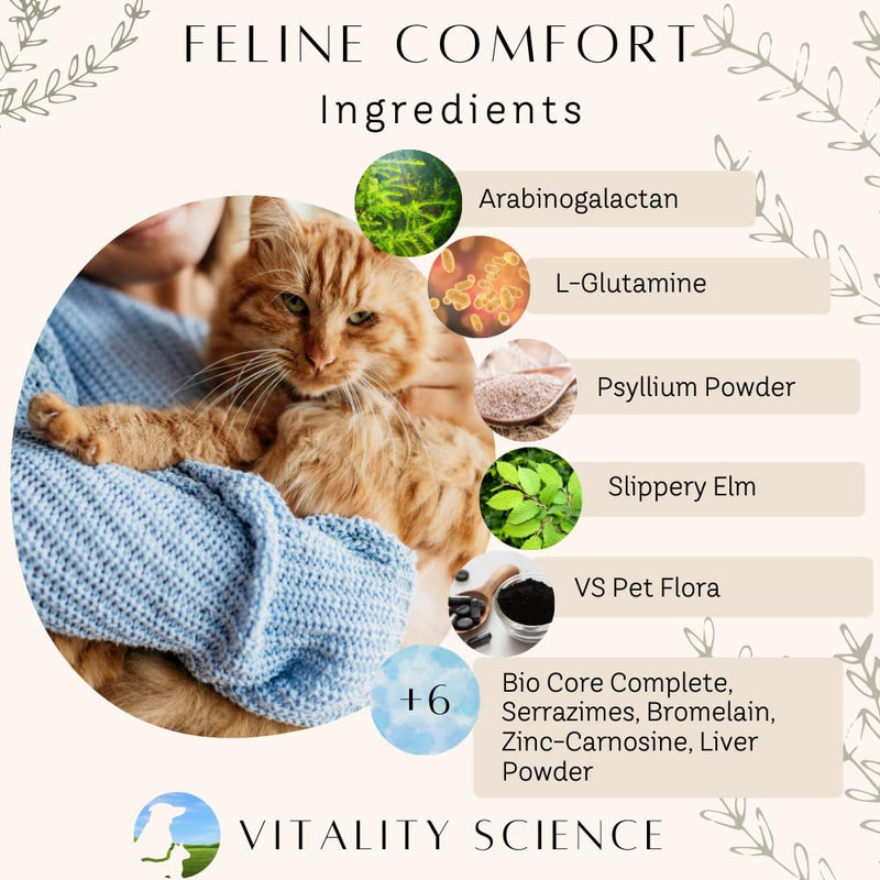Feline Comfort for Cats | Maintains a Healthy Intestinal Tract and Proper Gut Flora | Restores Gastric Stability | for Vomiting and Diarrhea | 100% Additive Free (Seafood, 98g) Seafood - BeesActive Australia