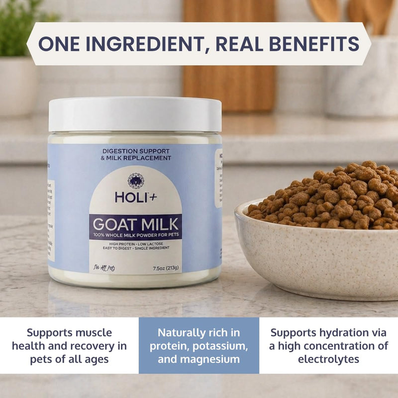 HOLI Goat Milk Powder - Dog Milk Replacer for Puppies, Adults, and Seniors. Whole Goat Milk Rich in MCTs for Activity Support and Muscle Recovery - Supports Digestion and Immune Health, 15 Ounce Natural 15 Ounce (Pack of 1)