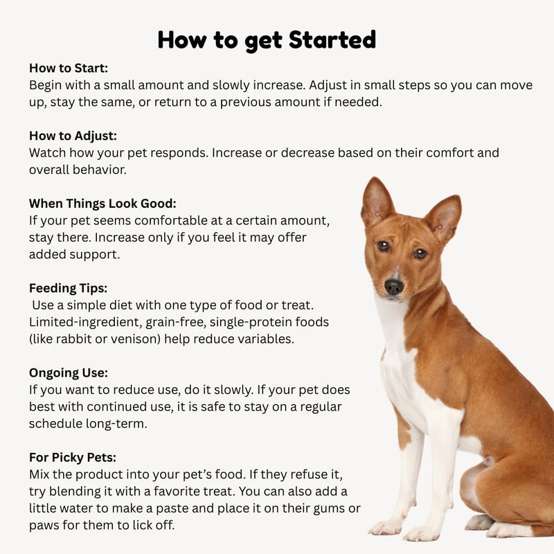Vitality Science Celloquent Gold for Dogs | Holistic Advanced Immune Support Supplement | 17 Proven Ingredients | Auto Immune, Vomiting and Diarrhea, Depression | 60g