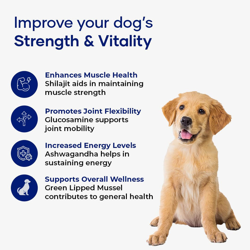 NutriFlo 10-in-1 Dog Multivitamin + Muscle Formula | Glucosamine, Green Lipped Mussel & Shilajit | Hip & Joint, Gut & Muscle Support | for All Dog Breeds