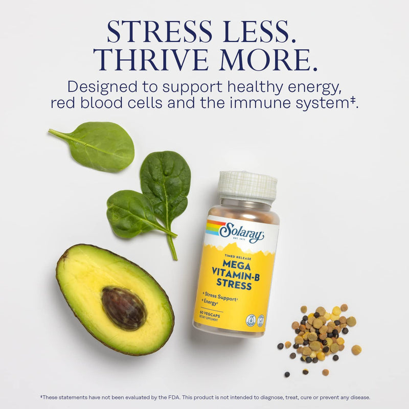 SOLARAY Mega Vitamin B-Stress, Timed-Release Vitamin B Complex with 1000 mg of Vitamin C for Stress, Energy, Red Blood Cell & Immune Support, 60 Day Guarantee, Vegan, 20 Servings, 60 VegCaps 60 Count (Pack of 1)
