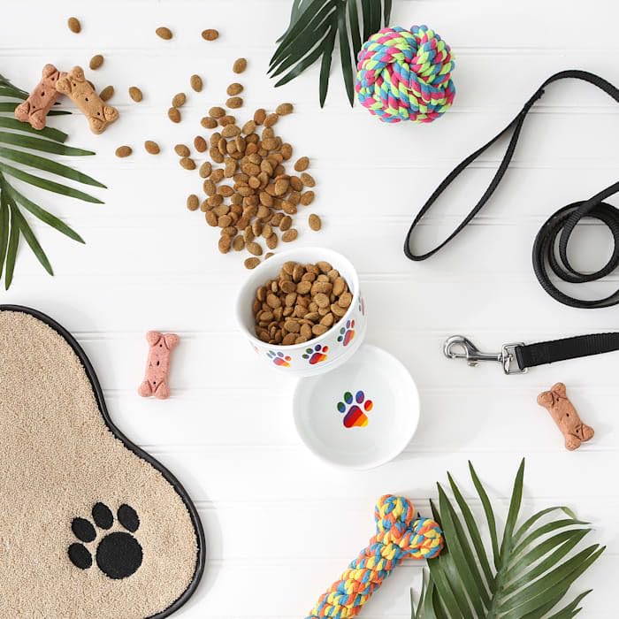 Bone Dry Ceramic Food & Water Bowls for Pets Non-Slip for Secure, Less Messy Feeding, Microwave & Dishwasher Safe, Small Set, 4.25x2, Rainbow Paw, 2 Count Small Set, 4.25x2" - BeesActive Australia