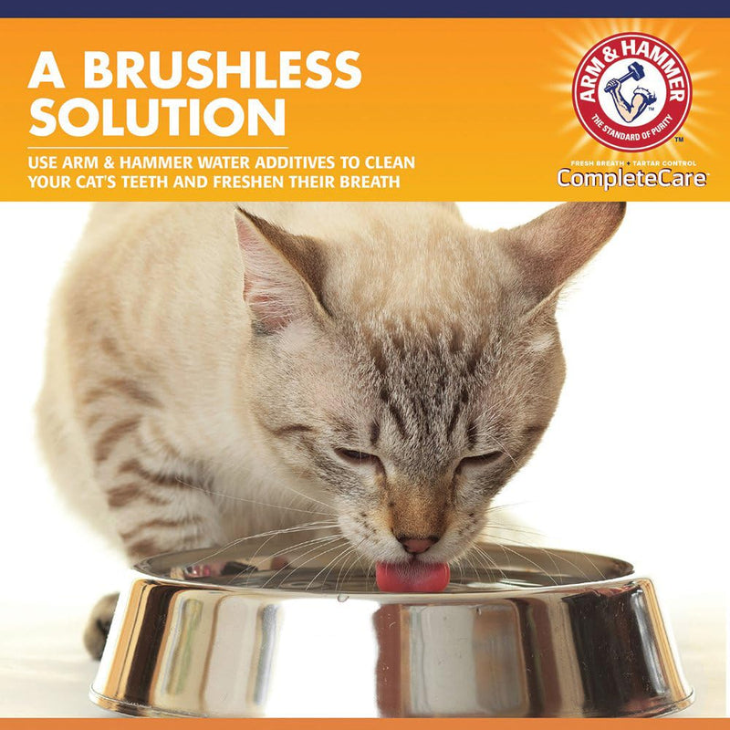 Arm & Hammer Complete Care Fresh Dental Water Additive for Cats - Cat Dental Care Solution for Bad Breath, Includes Cat Toothpaste Enzymatic Action, Ideal for Cat Grooming Supplies, 8 Fl Oz 8 Fl Oz (Pack of 1) - BeesActive Australia