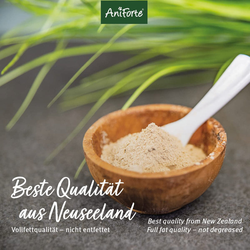 AniForte green-lipped mussel powder dog 500g COMPARATIVE WINNER 2023 - natural product for joints and joint function, green-lipped mussel powder dog in full-fat quality with high acceptance 500 g - BeesActive Australia