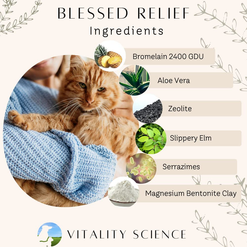 Vitality Science Blessed Relief for Dogs | Seasonal Allergy Support | Soothes Skin Problems | Promotes Normal Respiratory Function | Reduces Inflammation | Boosts Immune Health | 100% Safe and Natural 40 g