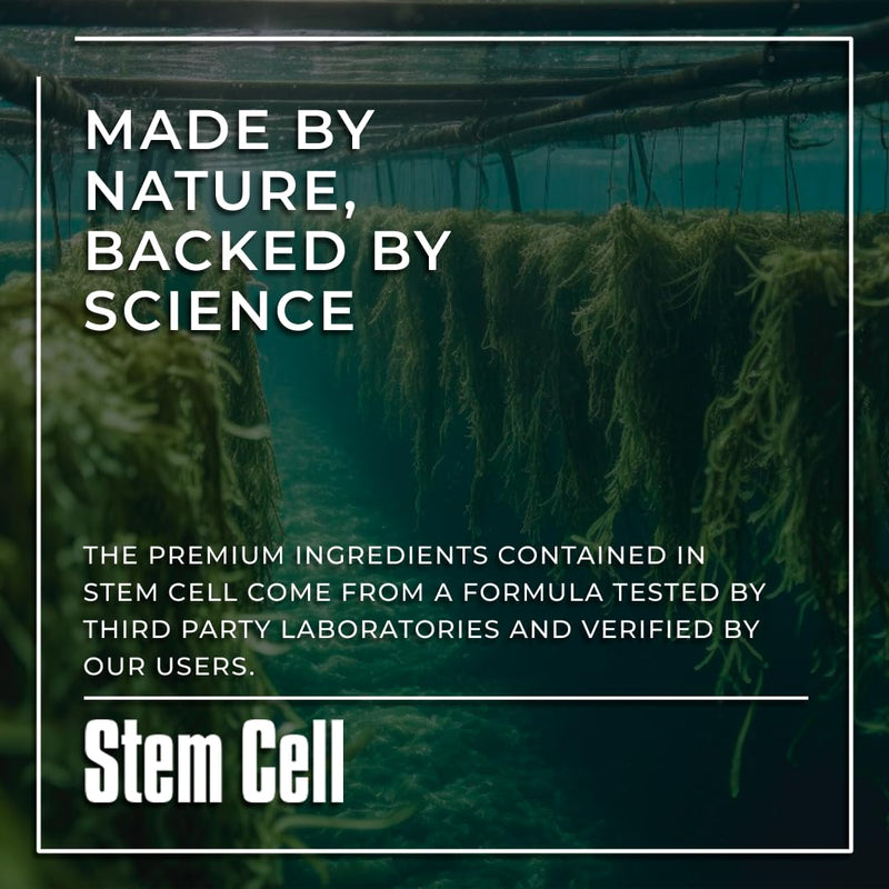 Premium Stem Cell Supplements 1,000mg (240 Caps) Boost Immunity, Reduce Joint Soreness, Support Natural Anti-Aging & Longevity with Spirulina & Chlorella for Vitality, Celulas Madre Health Formula 2