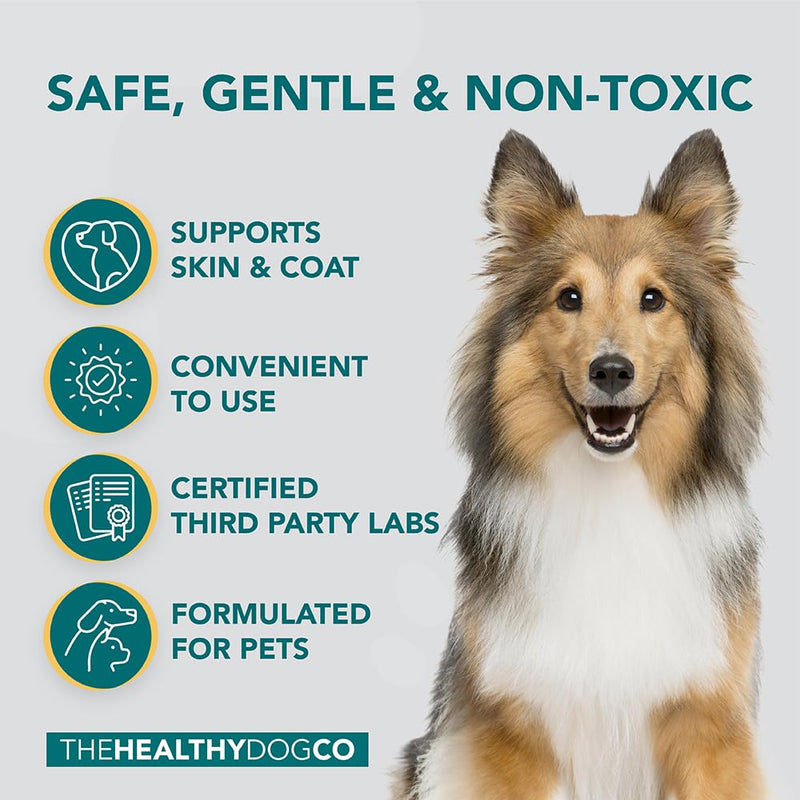 The Healthy Dog Co - Dog Perfume Spray - Honey & Oatmeal Dog Spray for Smelly Dogs - Lovely Smelling Dog Deodorant for Smelly Dogs - Dog Cologne suitable as Puppy Spray - 250ml - BeesActive Australia
