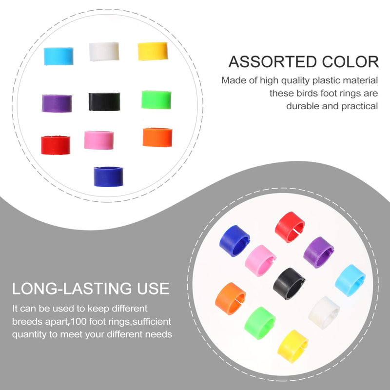 EXCEART Chicken Legs 100 Pcs Bird Rings Pigeon Foot Rings Plastic Multi- Colour Pigeon Foot Bands Clip on Multi- Color Leg Rings for Chicks Bantam Finch Dove Lovebird Quail Small Poultry Ringd - PawsPlanet Australia