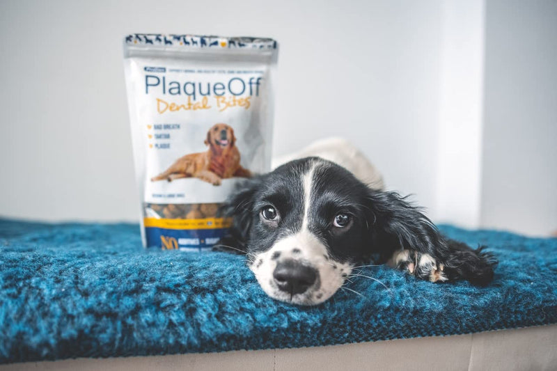 Proden Plaqueoff Dental Bites Dog, 150 G - PawsPlanet Australia