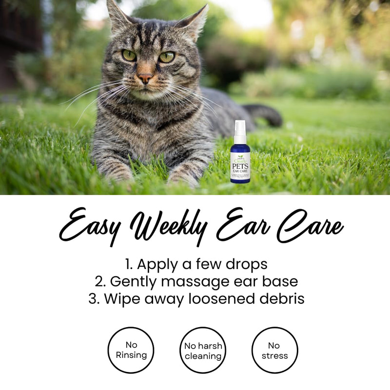 Isabella's Clearly Dog & Cat Ear Care Oil - Natural Wax Removal & Itch Relief - Ear Drops with Calendula, Witch Hazel, Mullein - Made in USA