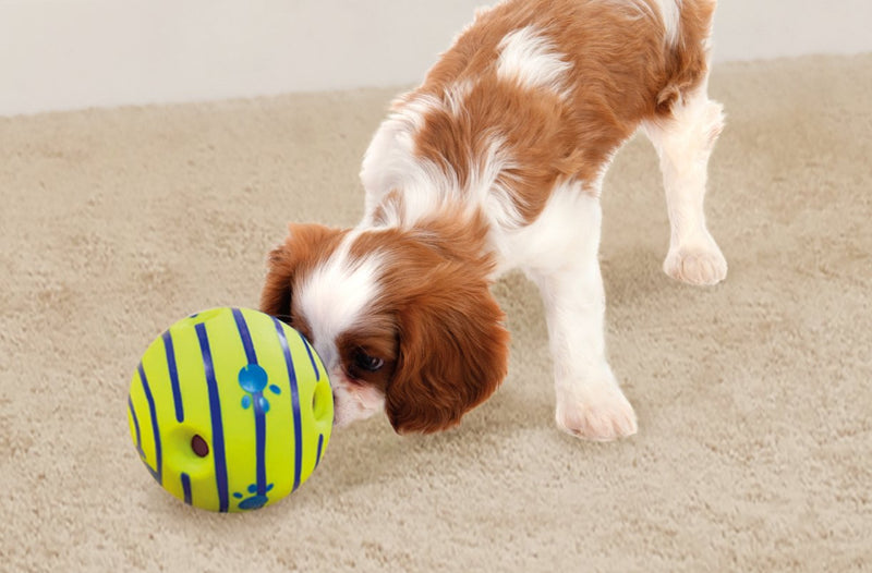 Wobble Wag Giggle Ball, Interactive Dog Toy, Fun Giggle Sounds When Rolled or Shaken, Pets Know Best, As Seen On TV Original - BeesActive Australia