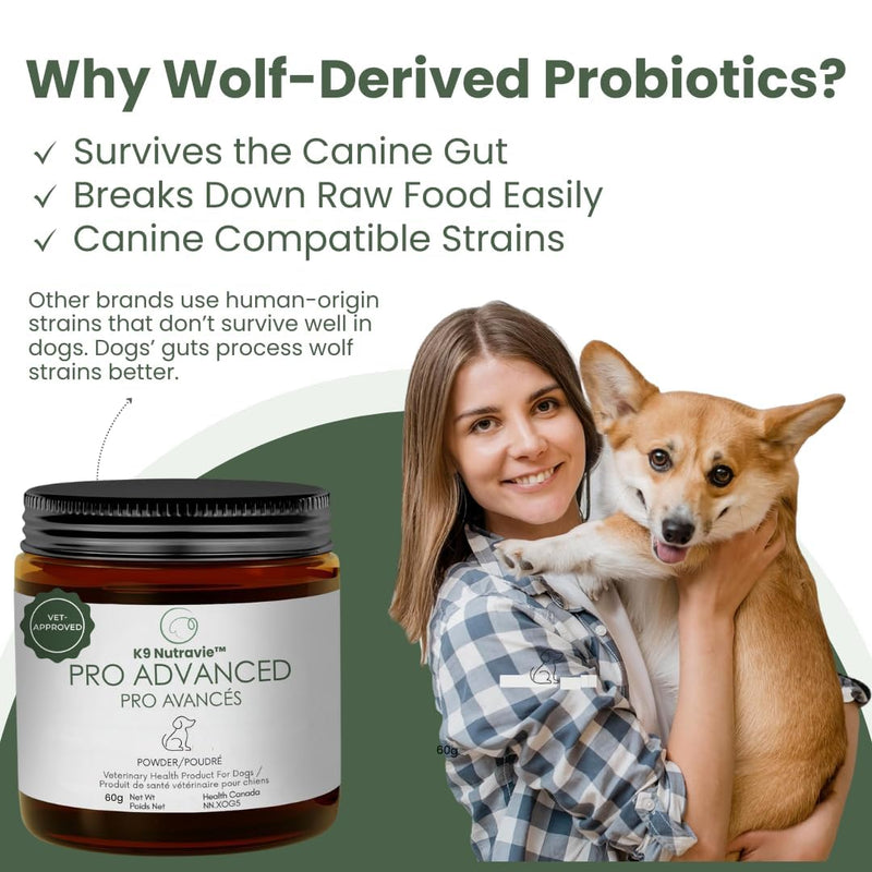 Dog Probiotic Powder for Digestive Support | 5 Billion CFU | Gut Health & Immunity Support | Mix-in Powder | 60g | Unflavoured (60g)