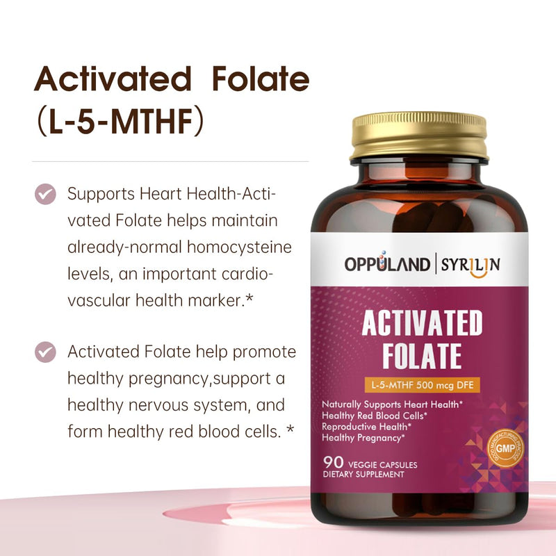 Activated Folate-L 5-MTHF DFE Supplement - Methylfolate B9 MTHF with Vitamin B12, CoQ10, & Red Raspberry - Methylated L-Methylfolate for Men and Women - 500 mcg - 90 Veggie Capsules