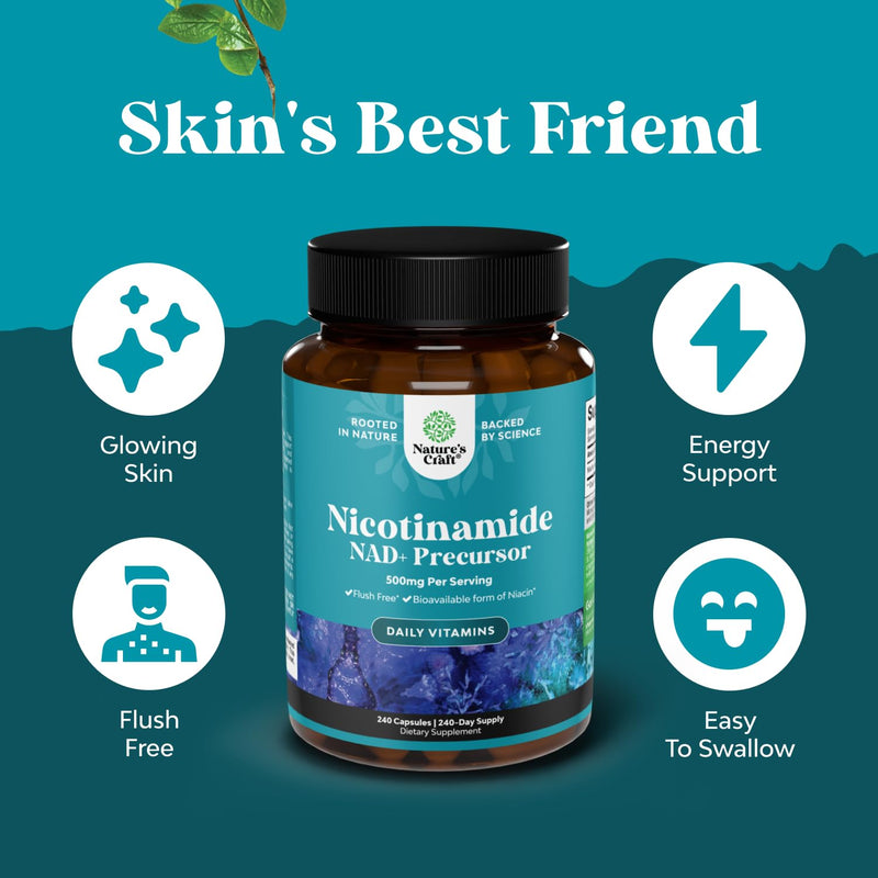 Nicotinamide 500mg Niacinamide 500mg Vitamin B3, Niacin Alternative - 240ct | Vitamin B3 as nicotinamide niacinamide supplement, 500mg per serving to support skin, cellular & metabolic health 240 Count (Pack of 1)