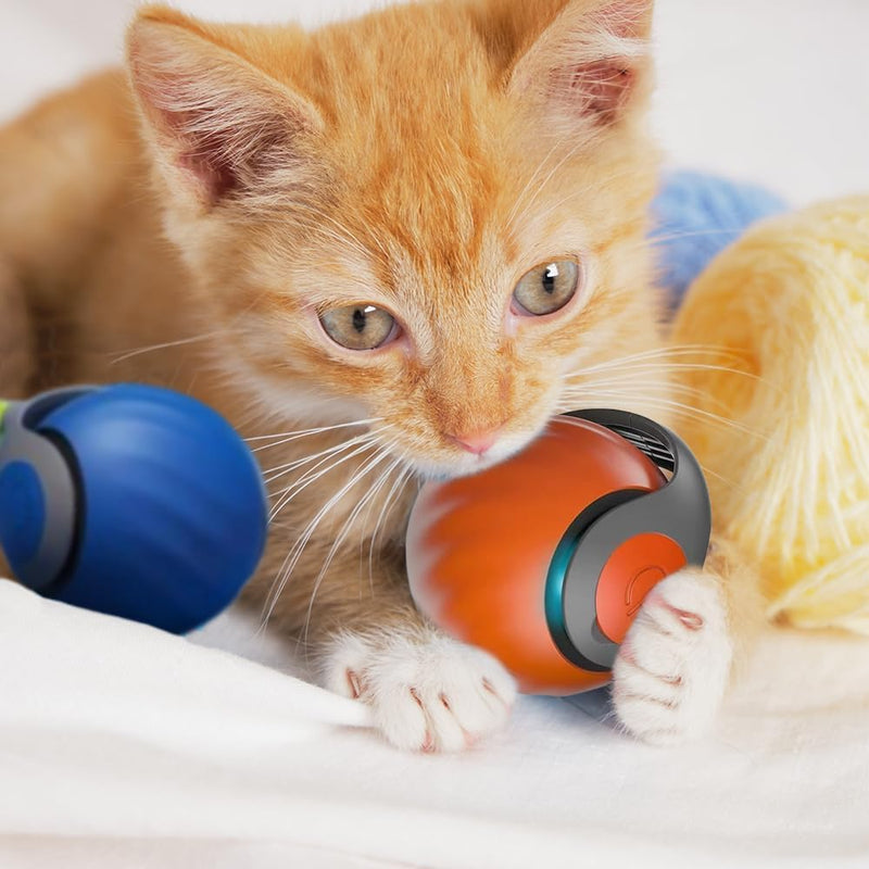 Speedy Tail 2.0,Speedy Tail Cat Toy,Smart Interactive Cat Toy Balls,Automatic Moving Balls for CatTouch Motion Rolling Cat Toy Ball,Self Rolling Smart Cat Toy Ball Interactive Cat Toys with Tail Blue - BeesActive Australia