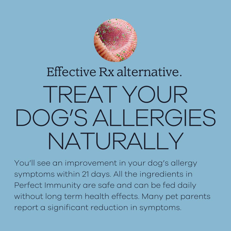 Perfect Immunity by Yumwoof - Non-GMO, Human-Grade Dog Food Topper - PawsPlanet Australia
