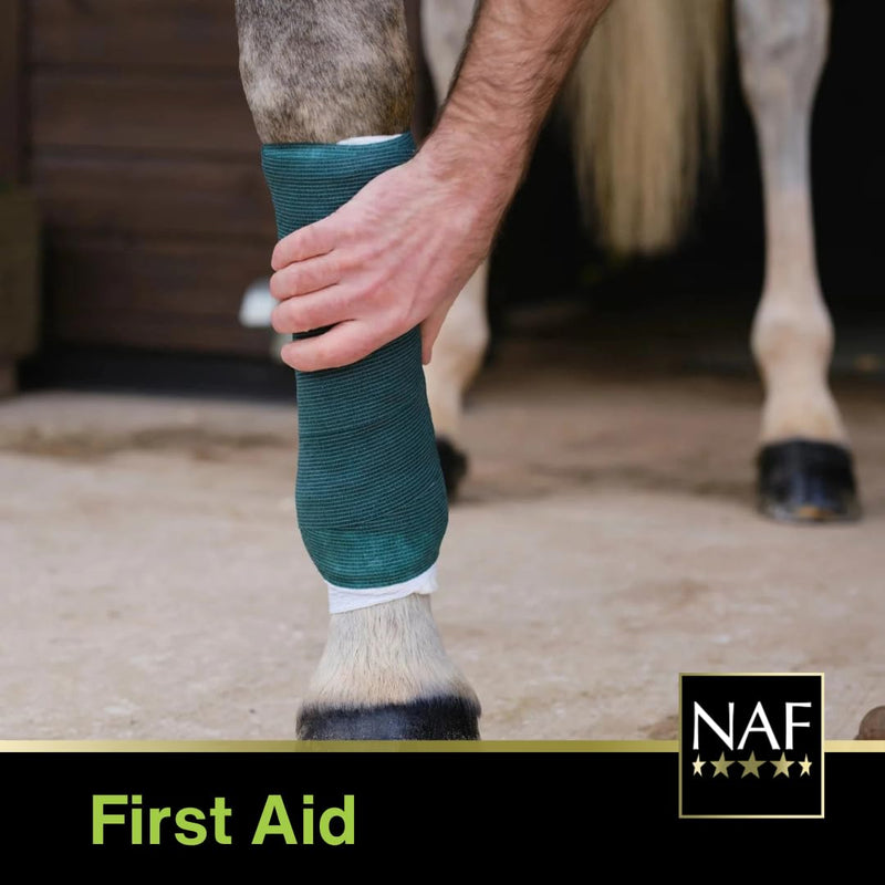 NAF NaturalintX Poultice Single – Veterinary-Approved Poultice for Horses – Can Be Used Hot, Cold or Dry – For Wounds, Abscesses, Hoof Conditions & Swellings 1 Count (Pack of 1)