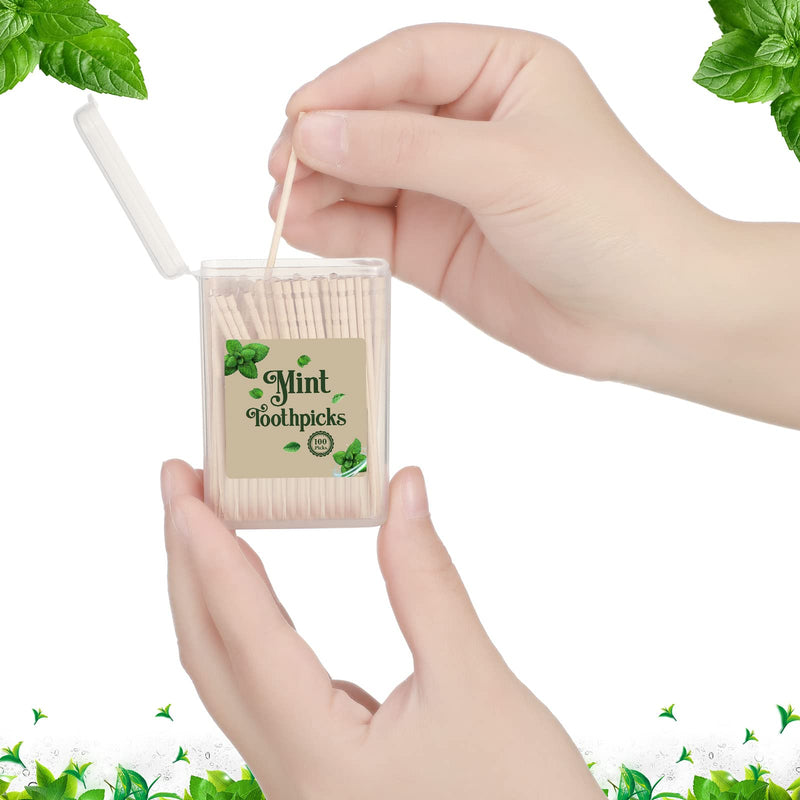 600 Pcs Bulk Mint Toothpicks Wood Toothpicks Mint Flavored Toothpicks with 6 Clear Plastic Boxes for Kitchen Appetizers Fruit Tray Essential Teeth Dental Care - BeesActive Australia