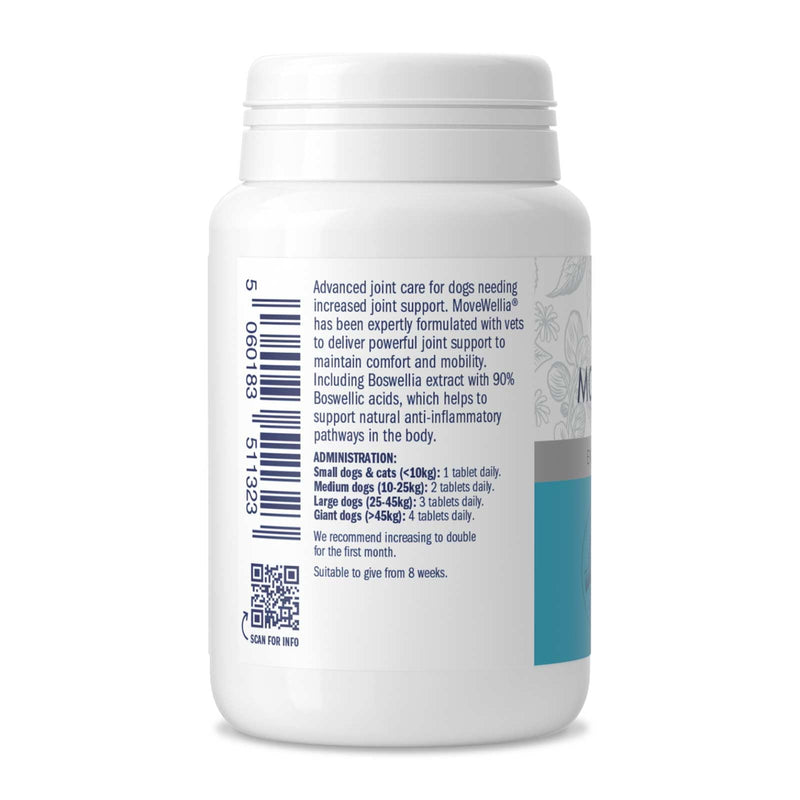 Dorwest Herbs MoveWellia Joint Care Supplement for Dogs and Cats - 100 Tablets - Natural Dog Supplements for Joint Discomfort with Boswellia, Chondroitin, Glucosamine and Celery Seed
