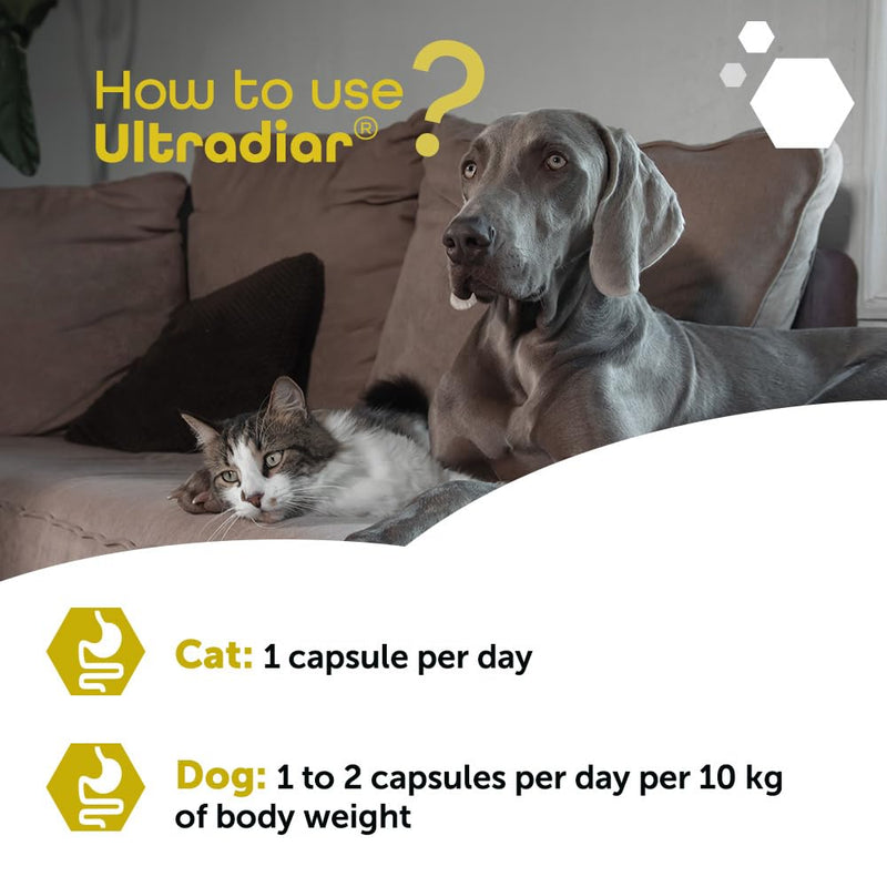 MP Labo Ultradiar® 20 Capsules - Digestive Function Support for Dogs and Cats
