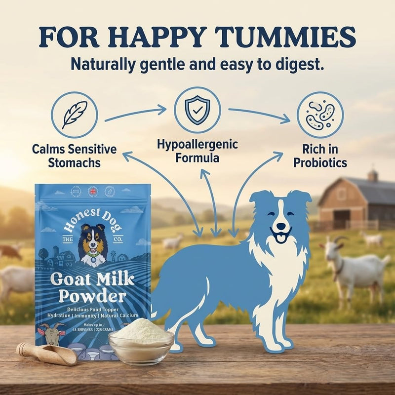 Honest Dog Co. Goats Milk Powder for Dogs | Packed with Protein, Calcium & Vitamins for Immunity, Recovery & Growth | Premium Supplement for Puppies & Adult Dogs | Made in UK | 225g | 45 servings