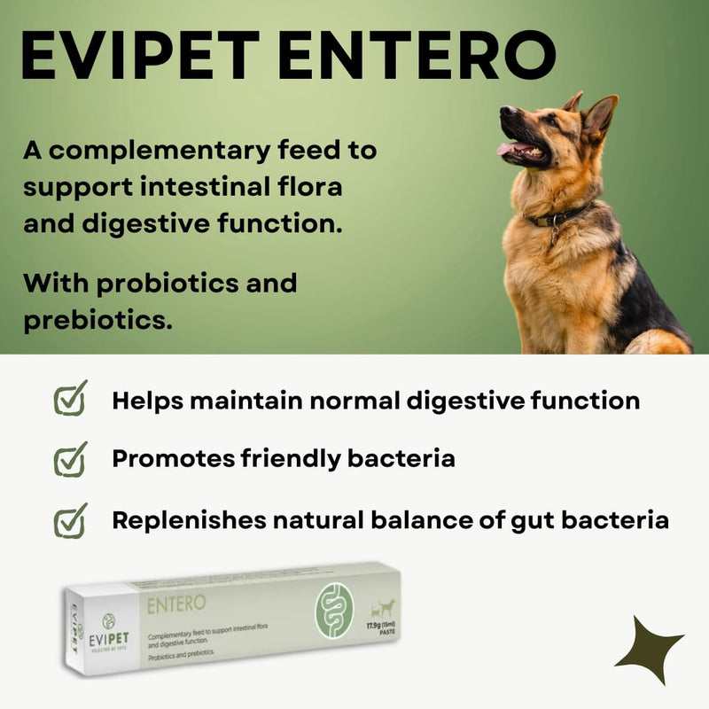 Entero Paste for Digestive Function in Cats and Dogs 15ml | Helps Maintain Normal Digestive Function | Promotes Friendly Bacteria