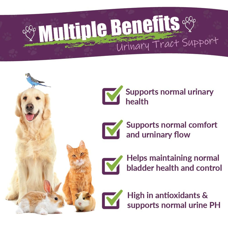 Amber NaturalZ UTR Urinary Tract Herbal Supplement for Dogs, Cats, Birds, Guinea Pigs, and Rabbits | Pet Herbal Supplement for Bladder Support | 1 Fluid Ounce Glass Bottle | Manufactured in The USA 1 Fl Oz (Pack of 1)