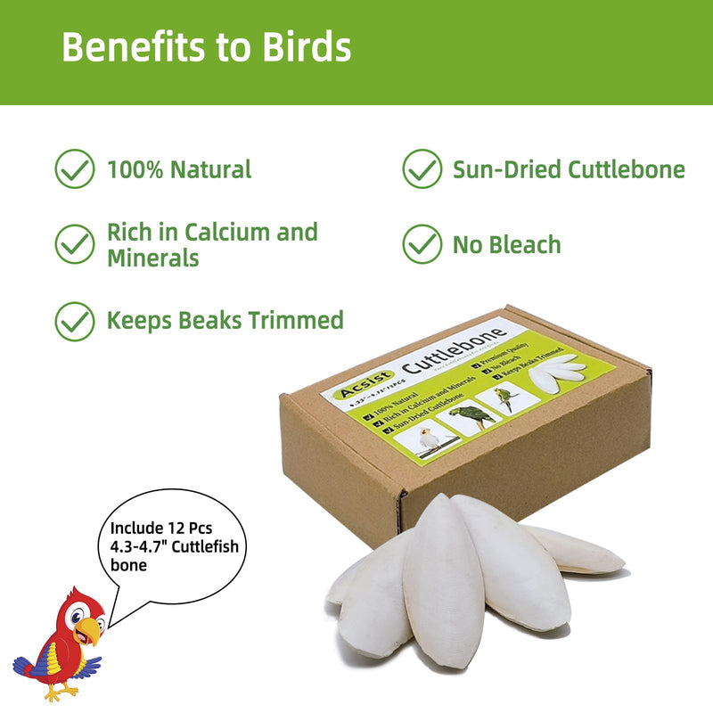 4.3"-4.7" Cuttlebone for Birds,Parakeets Cuddle Bone Beak Trimming,Premium Calcium Natural Cuttlefish Bone for Parrot,Cockatiel,Budgie,Tortoise, Snails,Reptiles,12 Pcs 12 Pcs (4.3"-4.7")
