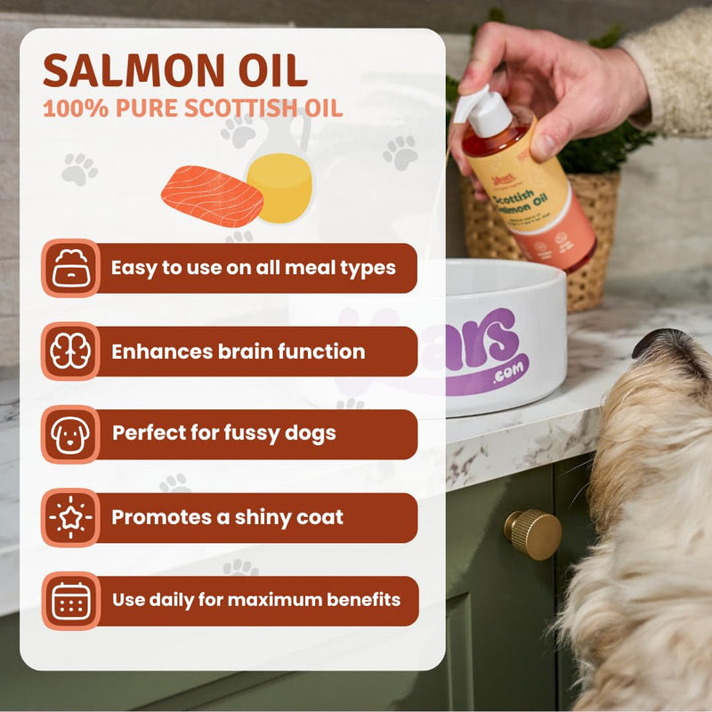 YEARS Salmon Oil for Dogs | Soothes Itchy Skin, Supports Stiff Joints & Promotes a Glossy Coat | Pure Scottish Fish Oil | Omega 3 6 9 | Natural Dog Supplement UK | 250ml 1 x Salmon Oil (250ml)