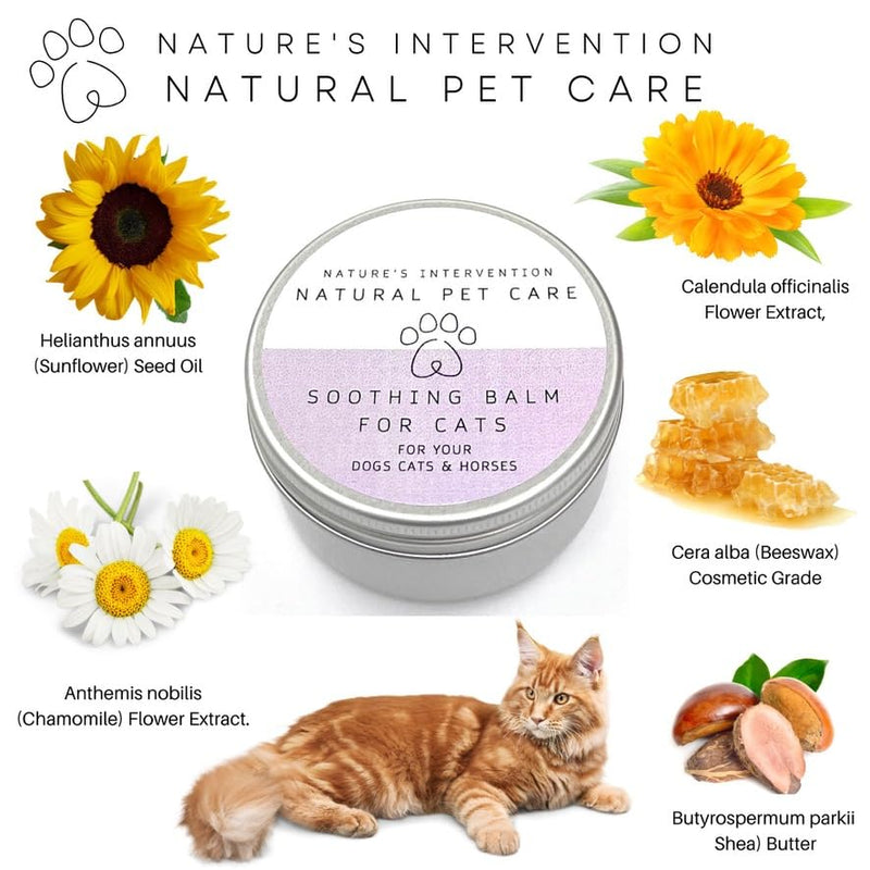 NATURE'S INTERVENTION 100% Natural Soothing Balm for Cats – 50ml – Essential Oil-Free – Beeswax, Shea & Chamomile – Gentle Paw & Skin Butter – Lick-Safe & Non-Toxic – Recyclable Aluminium Jar