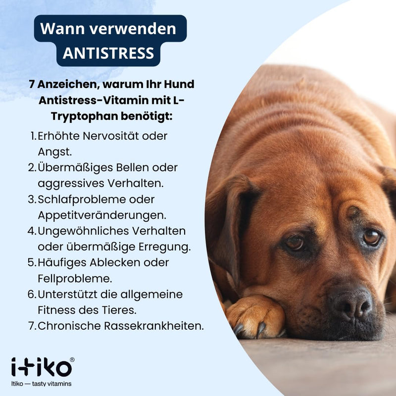 ITIKO vitamins for dogs | Delicious dog calming food supplement Dog tranquilizers | Improving the nervous system, anti-barking, L-tryptophan - BeesActive Australia