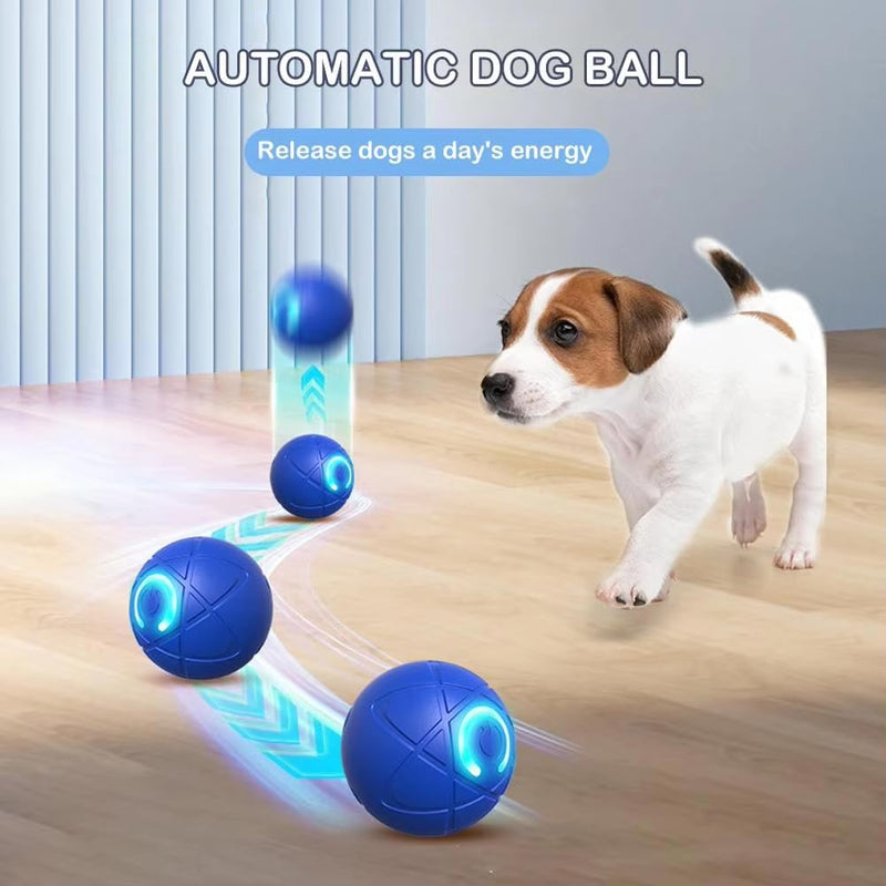 Shaky Ball Toy for Dogs, Shaky Ball Toy for Dogs, Automatic Dog Shaking Ball USB Rechargeable - BeesActive Australia