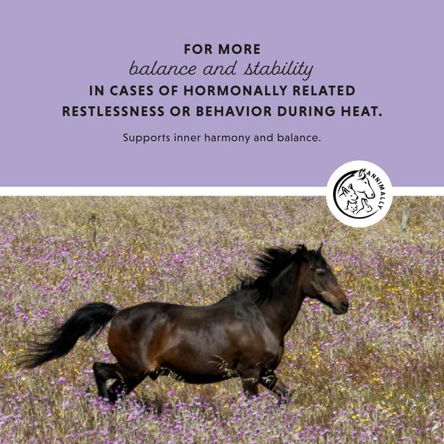 Annimally Monk’s Pepper Liquid for Horses 1000 ml - Daily Supplement with Monk’s Pepper, Ashwagandha, Passion Flower & Black Cohosh, Made in Germany