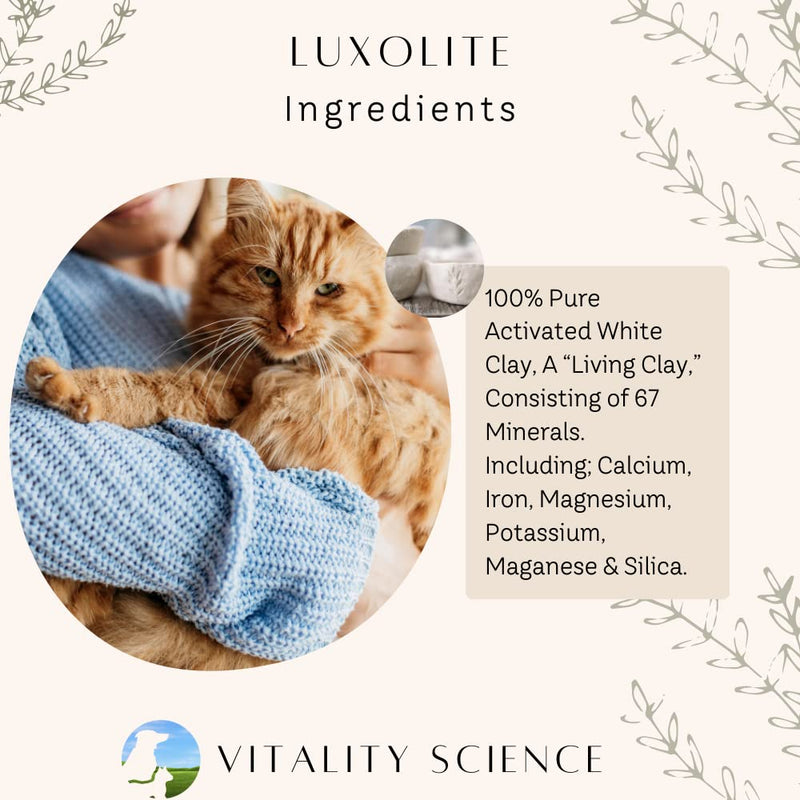Vitality Science Luxolite Bentonite Clay for Pets | All Natural Anti Diarrhea for Dogs & Cats | Gas Relief for Dogs | Detox for Digestive & Immune Support for Dogs | Loose Stool Relief (Large) Large, 1-Pack