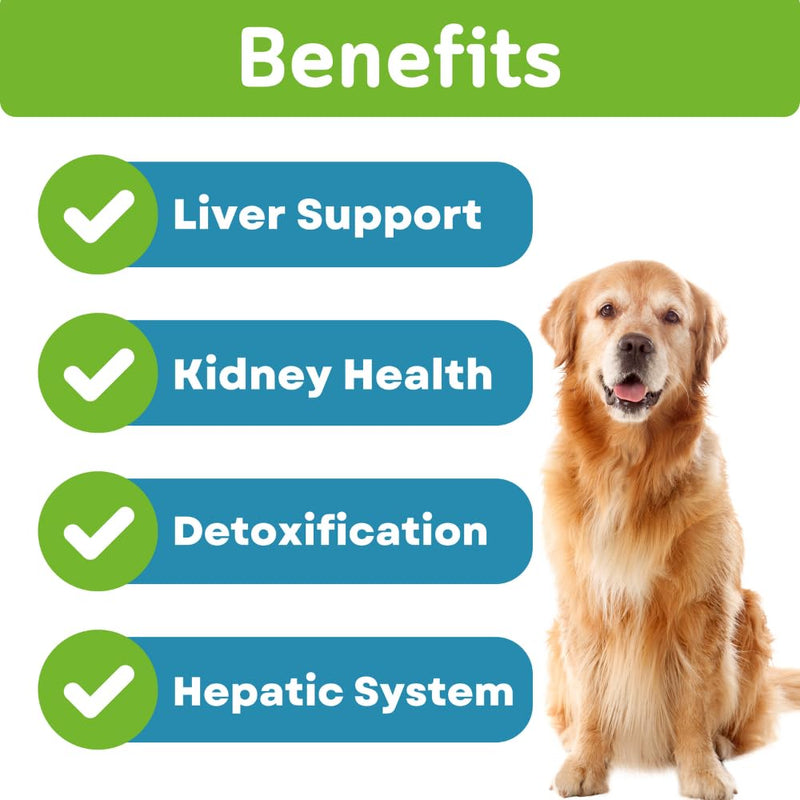 Milk Thistle for Dogs - Max Strength Liver Support Chews, Wild Alaskan Salmon Oil & Curcumin - Kidney Detox & Hepatic Support - Natural Liver Support Chews Made with Real Chicken, Choline & NAC