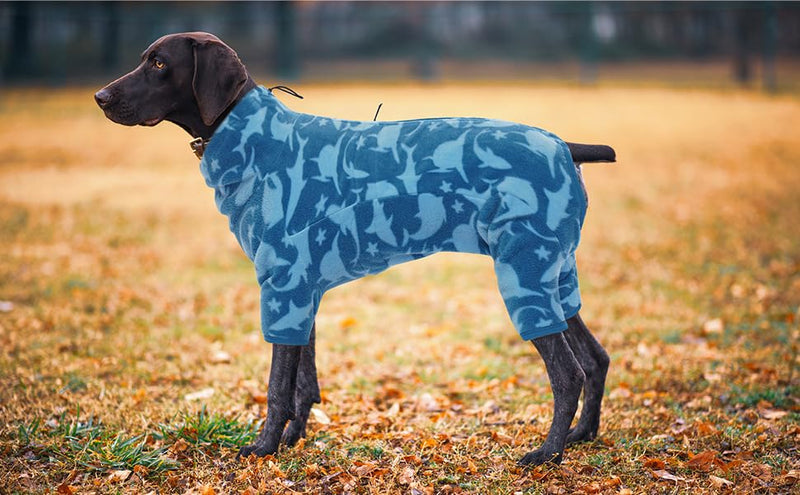 ROZKITCH Dog Winter Coat Soft Fleece Pullover Pajamas, Pet Windproof Warm Cold Weather Jacket Vest with Luminous Zipper, Jumpsuit Apparel Outfit Clothes for Small Medium Large Dog Shark XL XL(Back Length:21.2") Blue-shark - BeesActive Australia