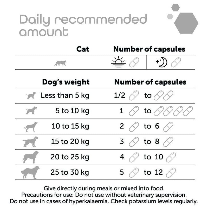 K for Cat capsules