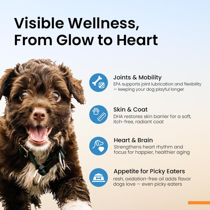 Omega 3 Fish Oil for Dogs – Human Grade, Single Serve Sachets | Norwegian high EPA DHA | Skin & Coat, Shedding & Itchy Skin Relief, Oxidation Protected, Liquid Food Topper