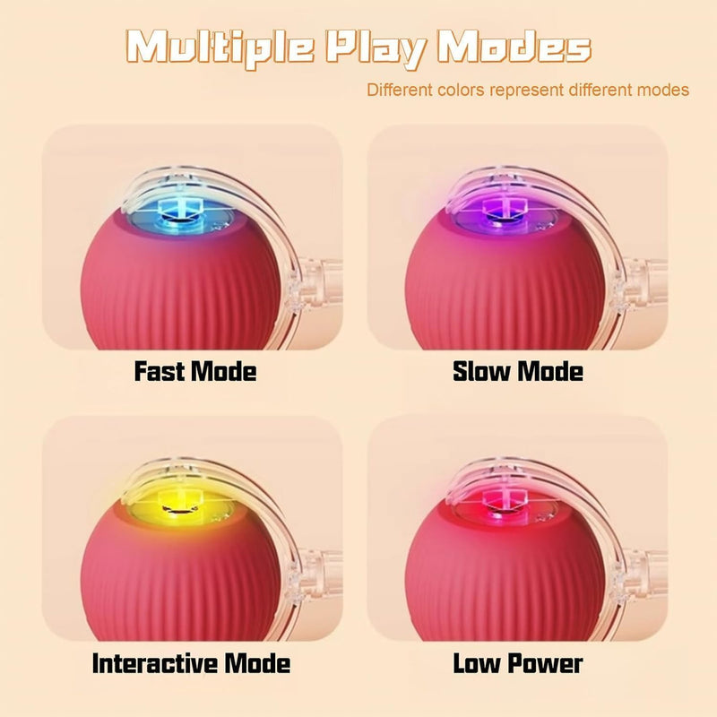 Interactive Cat Toys Rolling Ball, Chewie Viral Rolling Ball, Electric Dog Ball Toy, 360° Smart Automatic Cat Ball Toys for Bored Indoor Cats, Suitable for Large and Small Dogs and Cats - BeesActive Australia
