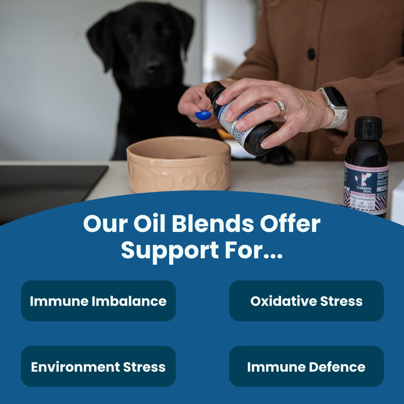 Immune Support Dog Supplement 250ml | Specially Formulated Supplements for Dog Health | For Balance, Resilience & Long Term Health | 100% Natural | With Salmon Oil and Coconut Oil for Dogs
