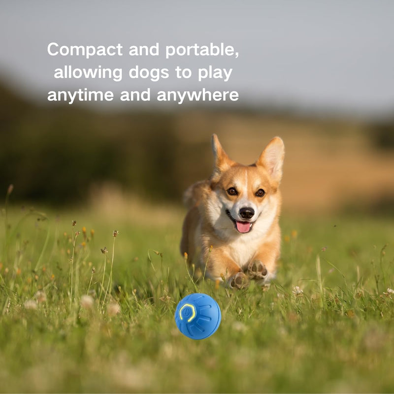 2PCS Shaky Ball for Dogs, Shaky Ball Toy for Dogs, Vibrating Dog Ball, Vibrating Ball for Dogs, Shaky Ball Moving Dog Toy, Automatic Moving Dog Toy Ball, Suitable for All Dogs (Orange+Blue) Mix - BeesActive Australia