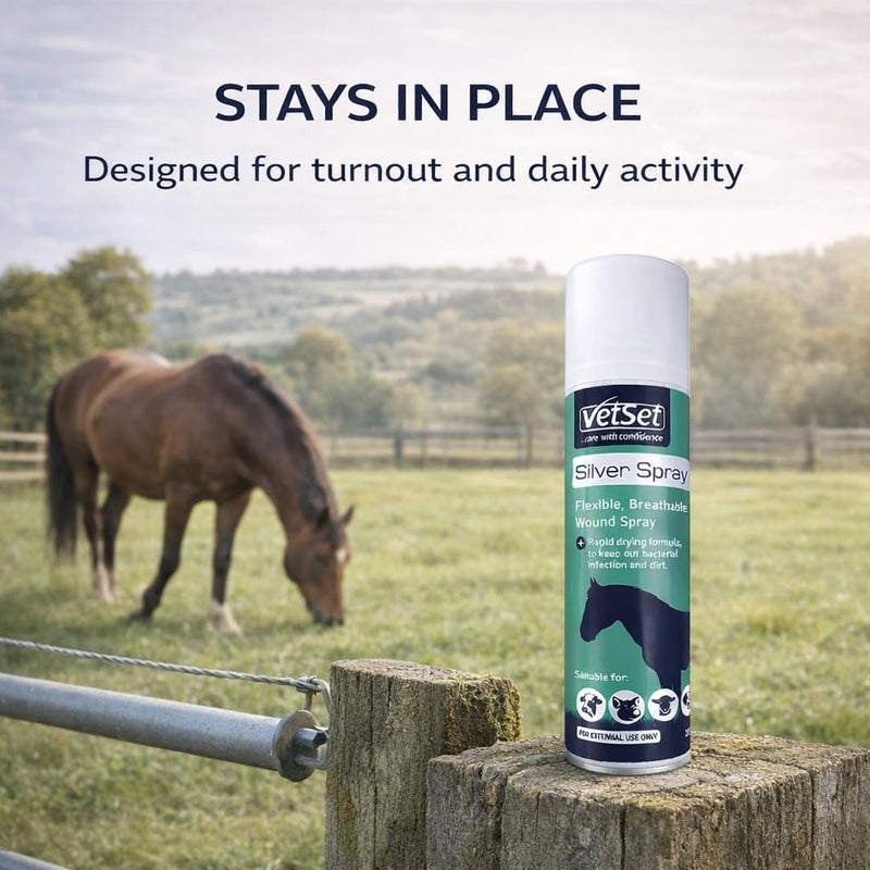 Silver Aluminium Spray for Animal Wounds | Veterinary Antiseptic Silver Spray for Horses, Dogs, Livestock & Equine Use | Breathable Protective Coating for External Wounds & Abrasions, 250ml Silver Spray 250ml (Pack of 1)