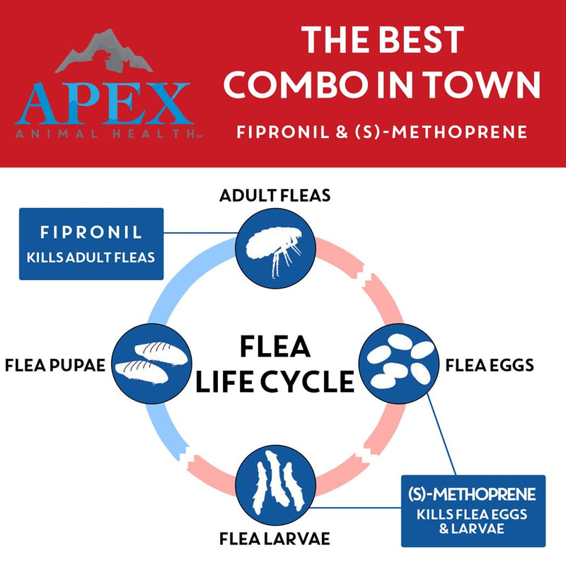 Apex Plus Flea and Tick Prevention for X-Large Dogs (89-132 lbs) | 6-Month Supply | Waterproof, 24-Hour Activation, 30-Day Protection 6 Count 89-132 lbs