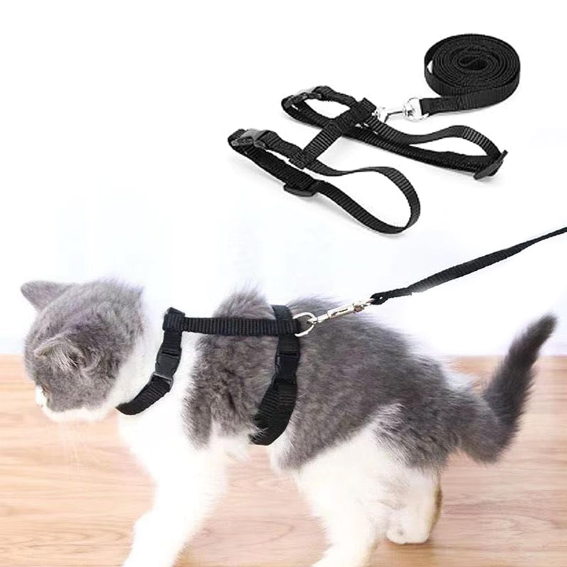 Cat harness with leash, adjustable harness cat leash, nylon harness cat leash, cat harness escape-proof 120cm, escape-proof cat vest with leash for kittens, puppies, rabbits - BeesActive Australia