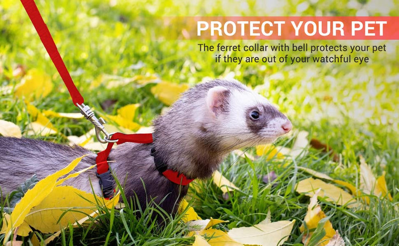 Red Ferret Sweater, Harness, and Leash Set - Ferret Clothes- Ferret Accessories - Clothes for Ferrets - Ferret Stuff - Hoodies for Ferrets - Ferret Accessories red - BeesActive Australia