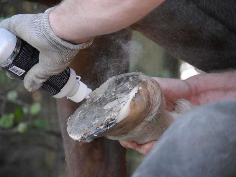 Unique-horn Magic Hoof Powder 120g | For thrush and mud | Wet and soft hooves | Drying effect, helps the hooves become drier and harder - BeesActive Australia