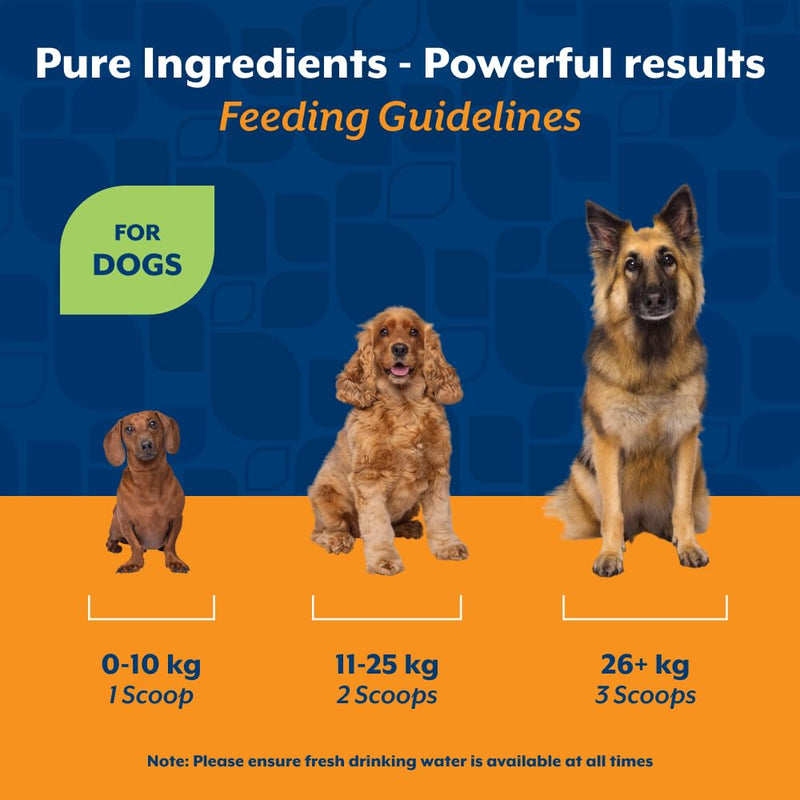 NaturVet Pure Pumpkin Powder for Dogs – 225g 100% Natural, Rich in Prebiotics High-Fibre Digestive Support for Firm Stools & Gut Health – Additive-Free - 90 Servings 225g Powder