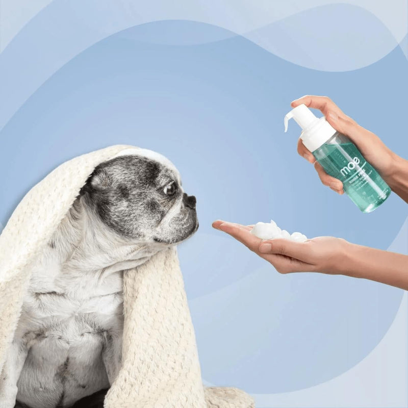 Moe Rinse Free Pet Dry Shampoo for Instantly Clean and Fresh Fur | Waterless Foam Cleanser for Dogs and Cats | (150 ml) (Blue) - BeesActive Australia